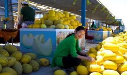 瓜州县免费吃瓜,免费瓜果盛宴，共享甜蜜时光